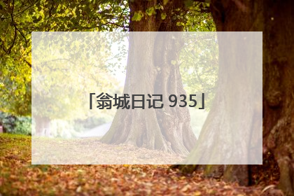 翁城日记 935