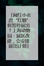 网红小老虎“红糖”将暂停展出？上海动物园：展区改建，会安排展出计划