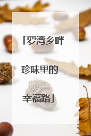罗湾乡畔 珍味里的幸福路