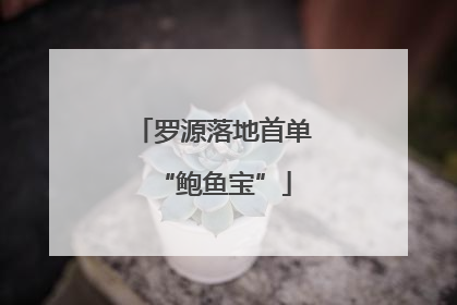 罗源落地首单“鲍鱼宝”