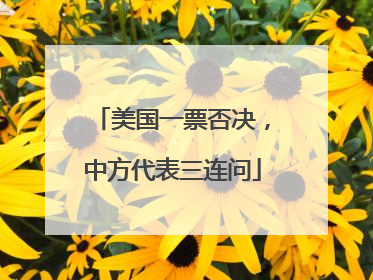 美国一票否决，中方代表三连问