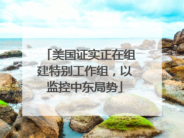 美国证实正在组建特别工作组，以监控中东局势
