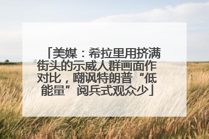 美媒：希拉里用挤满街头的示威人群画面作对比，嘲讽特朗普“低能量”阅兵式观众少