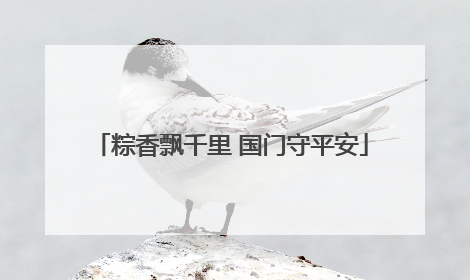 粽香飘千里 国门守平安