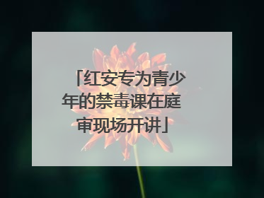 红安专为青少年的禁毒课在庭审现场开讲