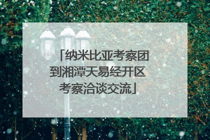 纳米比亚考察团到湘潭天易经开区考察洽谈交流