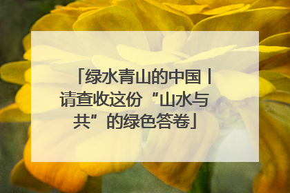绿水青山的中国丨请查收这份“山水与共”的绿色答卷