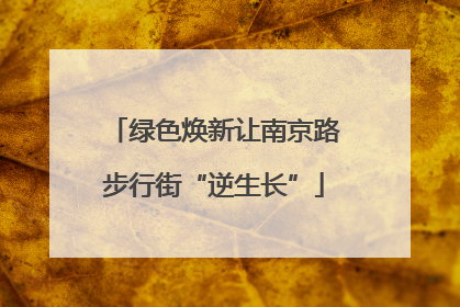 绿色焕新让南京路步行街“逆生长”