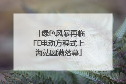 绿色风暴再临 FE电动方程式上海站圆满落幕