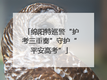 绵阳特巡警“护考三重奏”守护“平安高考”