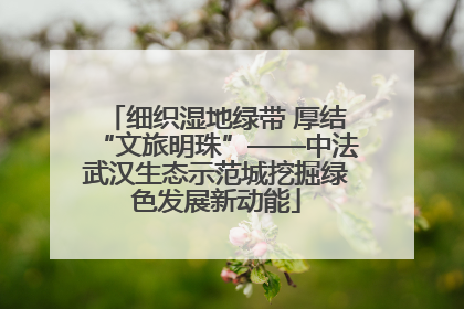 细织湿地绿带 厚结“文旅明珠”——中法武汉生态示范城挖掘绿色发展新动能