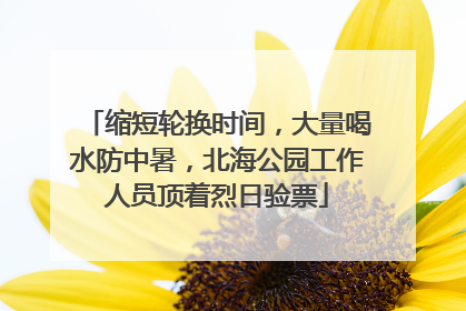 缩短轮换时间，大量喝水防中暑，北海公园工作人员顶着烈日验票