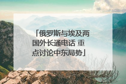 俄罗斯与埃及两国外长通电话 重点讨论中东局势