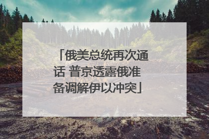 俄美总统再次通话 普京透露俄准备调解伊以冲突
