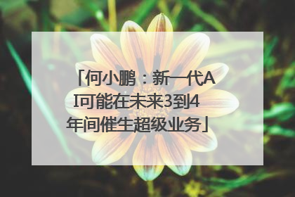 何小鹏：新一代AI可能在未来3到4年间催生超级业务