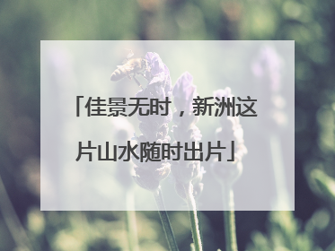 佳景无时，新洲这片山水随时出片
