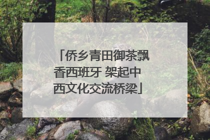 侨乡青田御茶飘香西班牙 架起中西文化交流桥梁