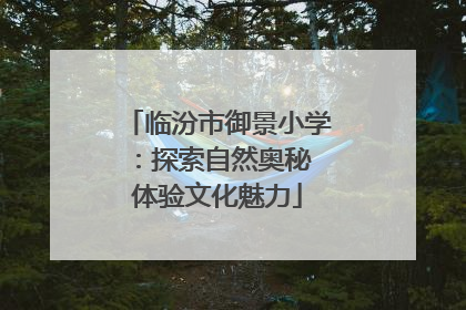 临汾市御景小学：探索自然奥秘 体验文化魅力