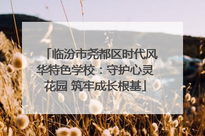 临汾市尧都区时代风华特色学校：守护心灵花园 筑牢成长根基
