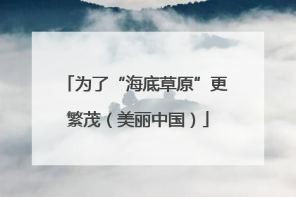 为了“海底草原”更繁茂（美丽中国）