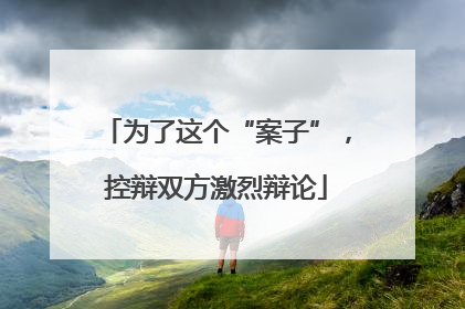 为了这个“案子”，控辩双方激烈辩论