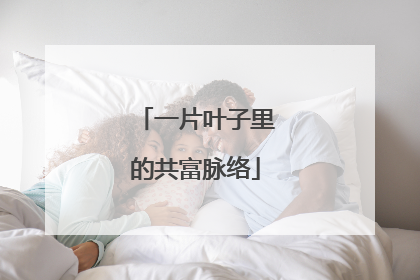 一片叶子里的共富脉络
