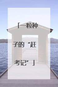 一粒种子的“赶考记”