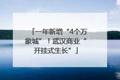 一年新增“4个万象城”！武汉商业“开挂式生长”