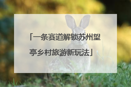 一条赛道解锁苏州望亭乡村旅游新玩法