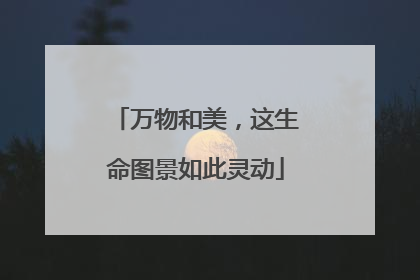 万物和美，这生命图景如此灵动