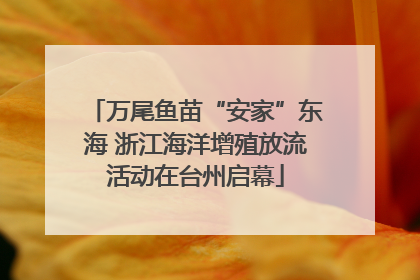 万尾鱼苗“安家”东海 浙江海洋增殖放流活动在台州启幕