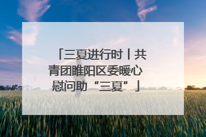 三夏进行时丨共青团睢阳区委暖心慰问助“三夏”