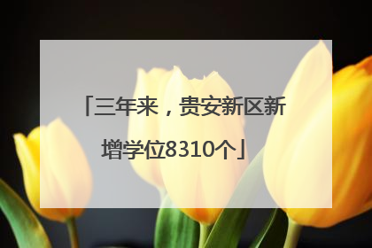 三年来，贵安新区新增学位8310个