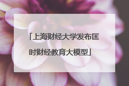 上海财经大学发布匡时财经教育大模型