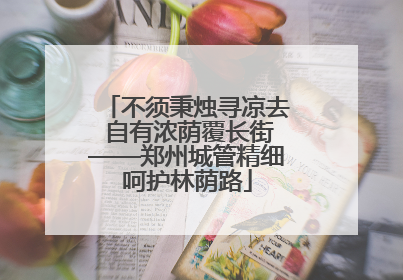 不须秉烛寻凉去 自有浓荫覆长街——郑州城管精细呵护林荫路