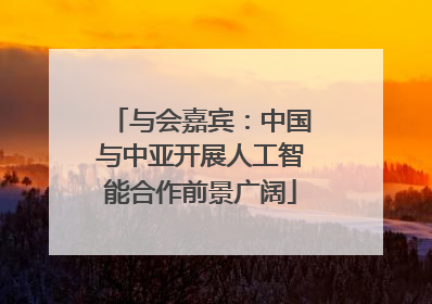与会嘉宾：中国与中亚开展人工智能合作前景广阔