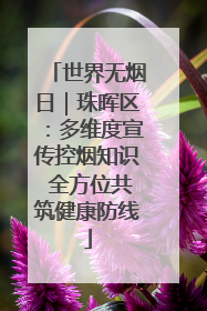 世界无烟日｜珠晖区：多维度宣传控烟知识 全方位共筑健康防线