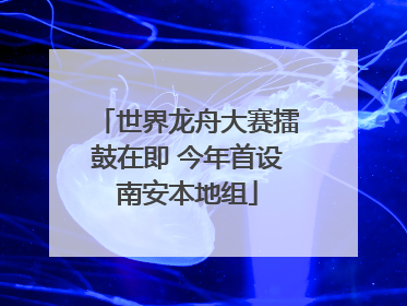 世界龙舟大赛擂鼓在即 今年首设南安本地组
