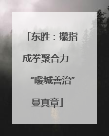 东胜：攥指成拳聚合力 “暖城善治”显真章