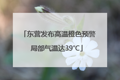 东营发布高温橙色预警 局部气温达39℃