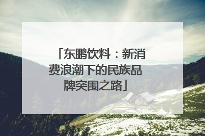 东鹏饮料：新消费浪潮下的民族品牌突围之路