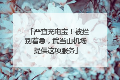 严查充电宝！被拦别着急，武当山机场提供这项服务