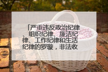 严重违反政治纪律、组织纪律、廉洁纪律、工作纪律和生活纪律的罗璇，非法收受他人巨额财物