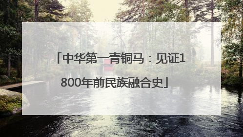 中华第一青铜马：见证1800年前民族融合史