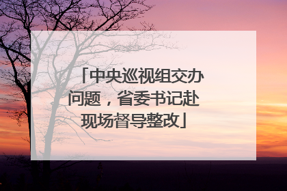 中央巡视组交办问题，省委书记赴现场督导整改