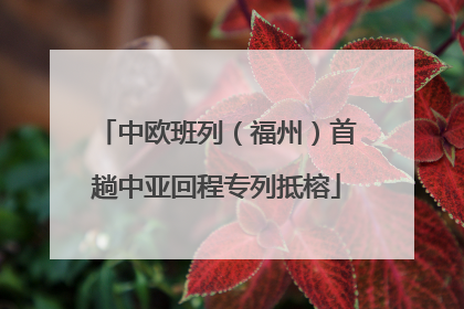 中欧班列（福州）首趟中亚回程专列抵榕