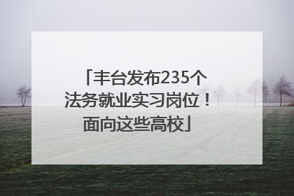 丰台发布235个法务就业实习岗位！面向这些高校