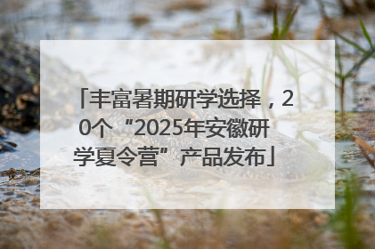 丰富暑期研学选择，20个“2025年安徽研学夏令营”产品发布