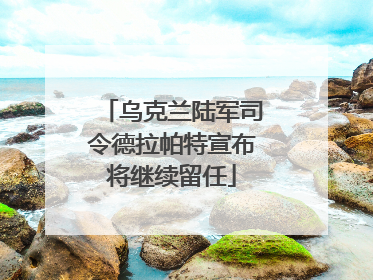 乌克兰陆军司令德拉帕特宣布将继续留任