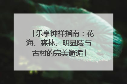 乐享钟祥指南：花海、森林、明显陵与古村的完美邂逅